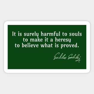 Galileo Quote on What is Harmful to Souls Magnet